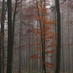 ゲストハウス Walddorf ヴィンターベルク