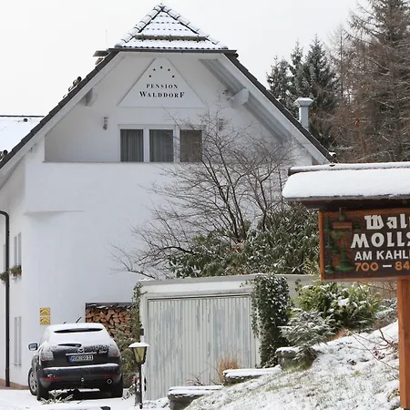 Walddorf Guest house 2*