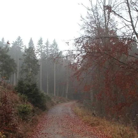 Pensión Walddorf 2*