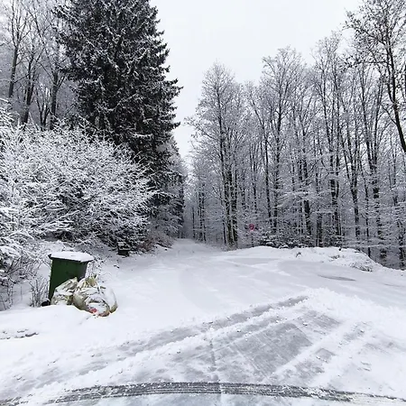 Πανσιόν Walddorf 2*