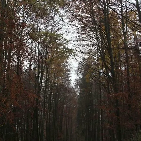 Walddorf Winterberg