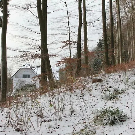 Walddorf Guest house 2*