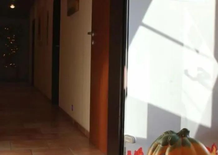 瓦尔德多夫潘森酒店 温特贝格