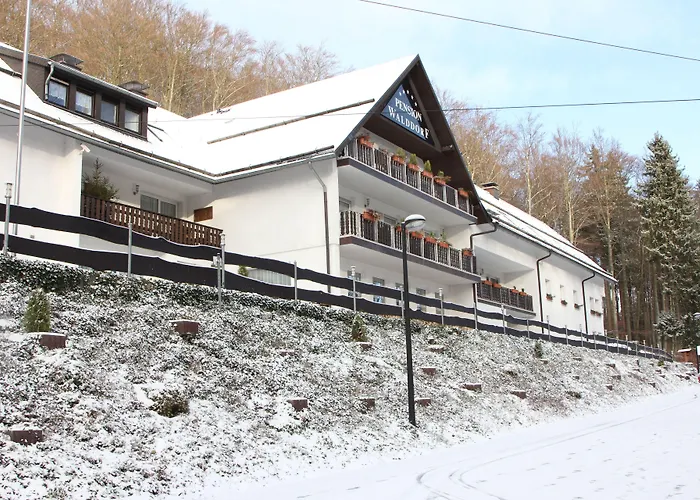 瓦尔德多夫潘森酒店 招待所