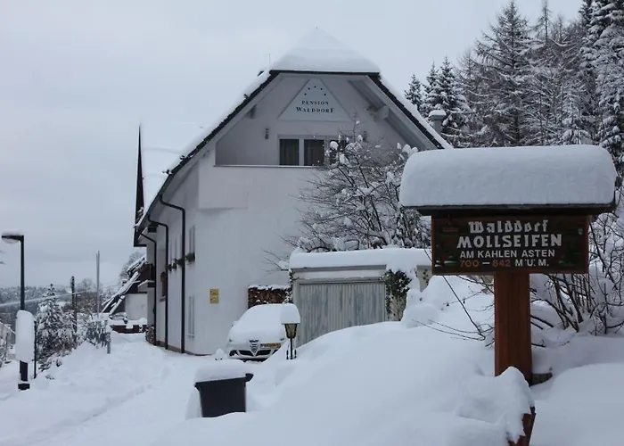 瓦尔德多夫潘森酒店 招待所 温特贝格