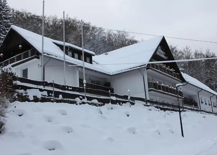 招待所 瓦尔德多夫潘森酒店 温特贝格