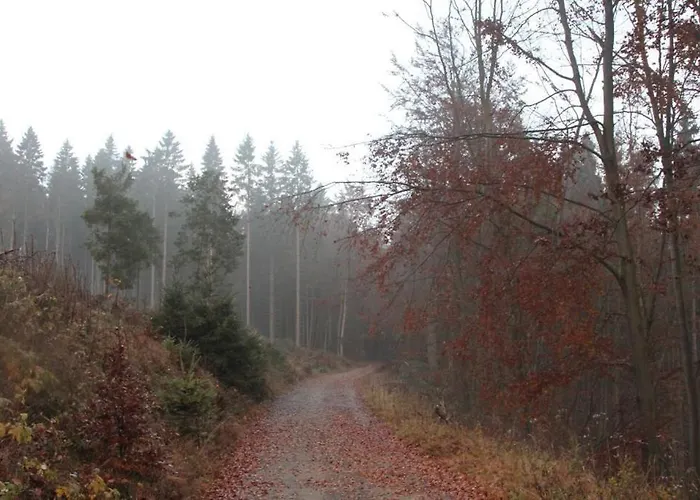 招待所 瓦尔德多夫潘森酒店 2*