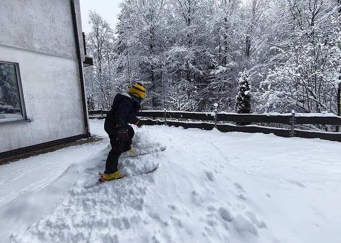 瓦尔德多夫潘森酒店 温特贝格