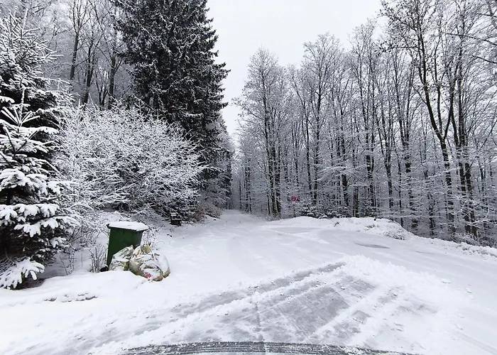 Πανσιόν Walddorf 2*