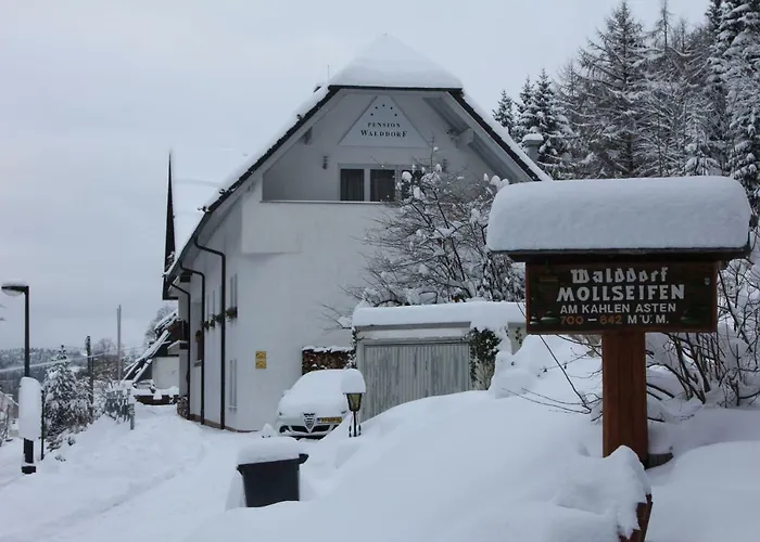 瓦尔德多夫潘森酒店 温特贝格