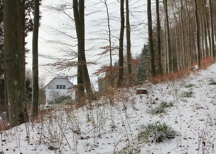 Walddorf Guest house 2*