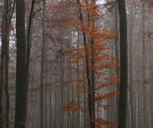 Konukevi Walddorf Winterberg