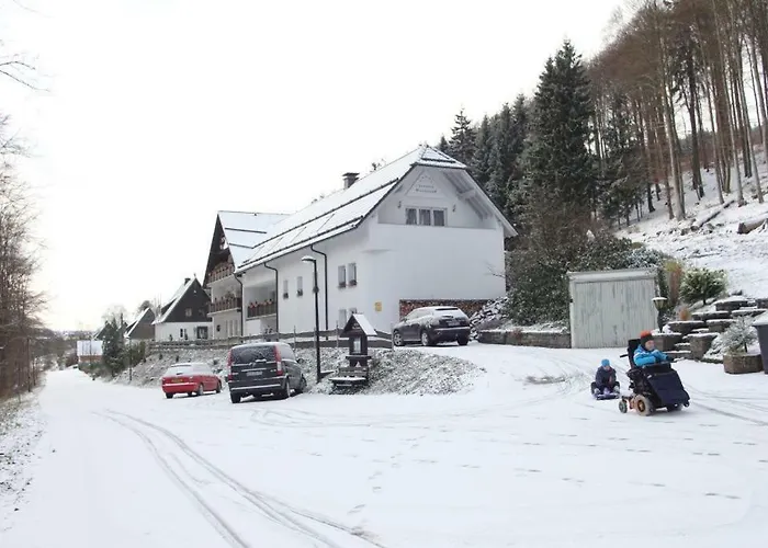 瓦尔德多夫潘森酒店 2* 温特贝格